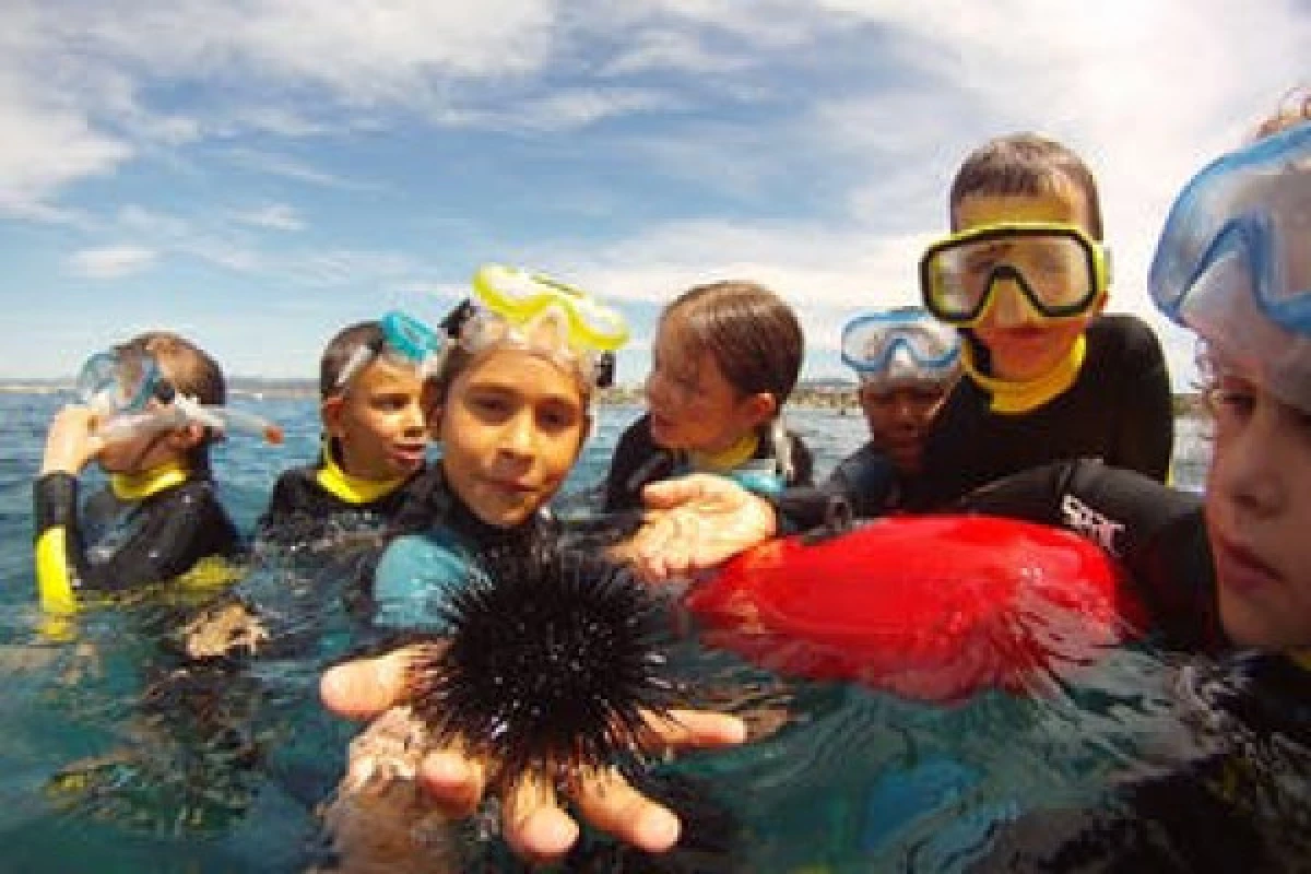 Kids Scuba Diving Training - Bonjour Fun