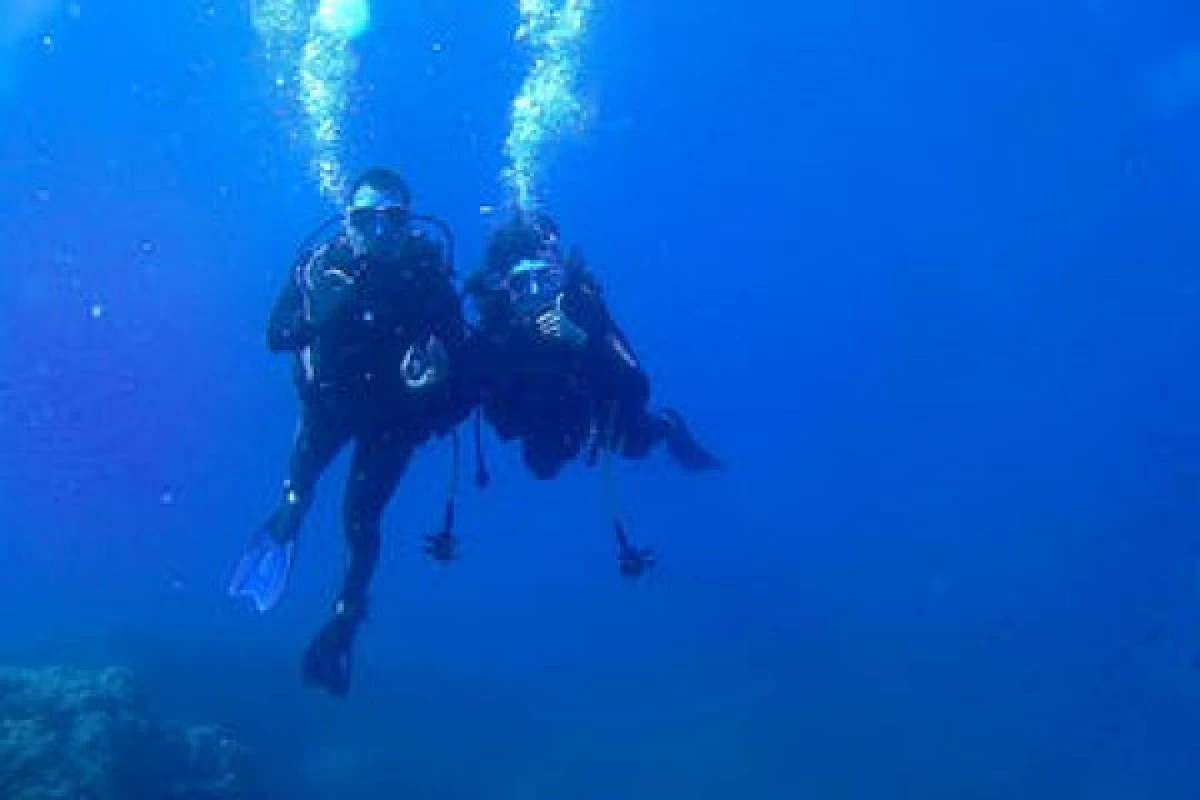 Trainee First Diving Level 1 - Fréjus - Bonjour Fun