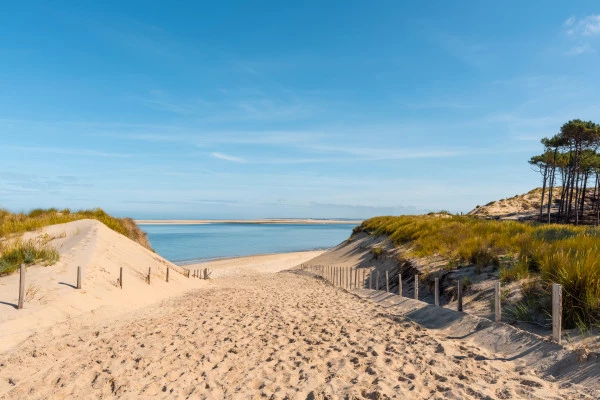 From Bordeaux: Arcachon Bay and Pilat Dune private tour. - Bonjour Fun