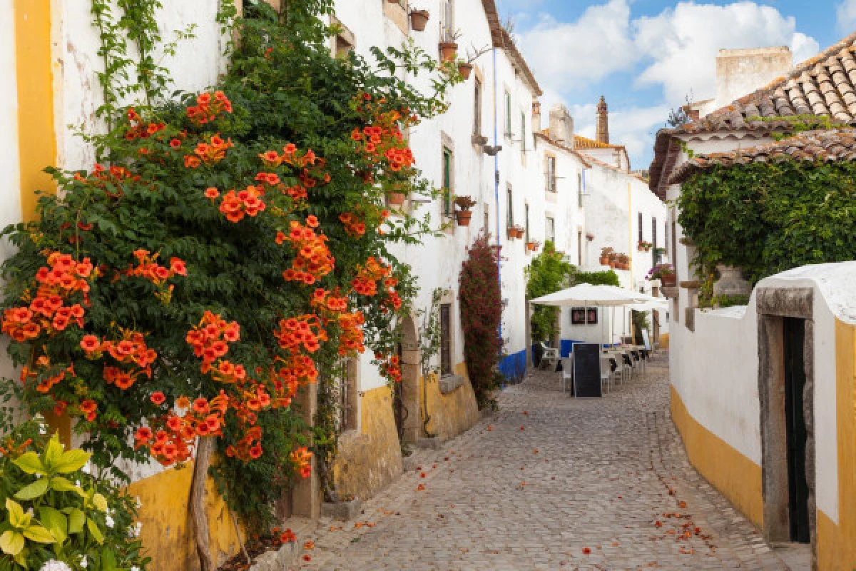 Full Day Guided Tour to Fátima, Nazaré & Óbidos - Bonjour Fun