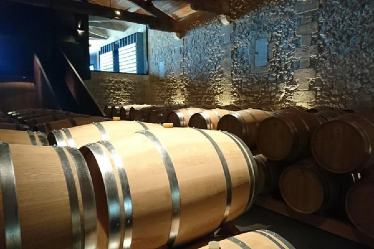 Full-day wine tour in Saint-Emilion (Premium Sedan) - Bonjour Fun