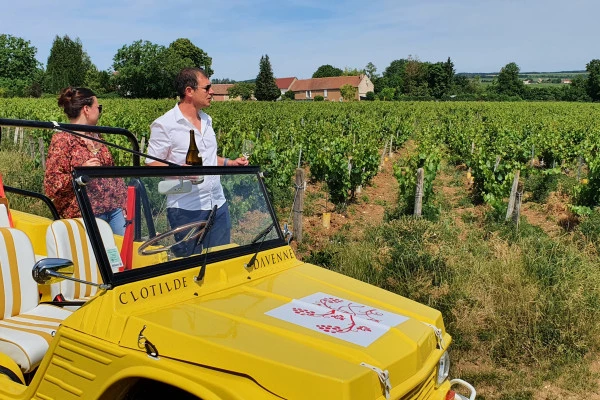 Grands Crus tour in e-Mehari and Chablis tasting - Bonjour Fun