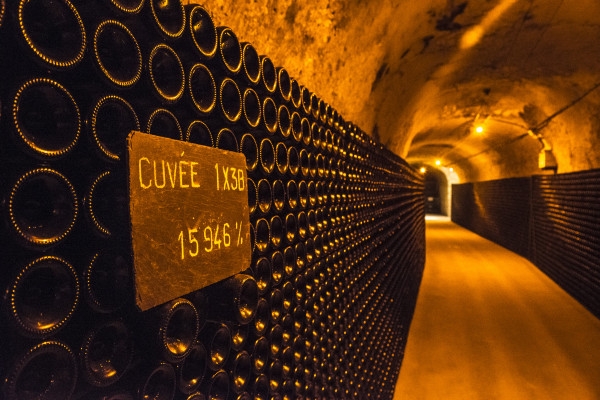 Guided Tour & Léonie Iconic Tasting - Bonjour Fun