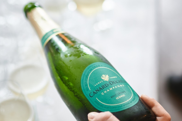 Guided Tour & Léonie Iconic Tasting - Bonjour Fun