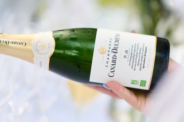 Guided Tour & Léonie Iconic Tasting - Bonjour Fun