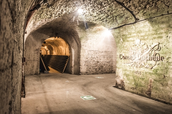 Guided Tour & Sabrage Experience - Bonjour Fun