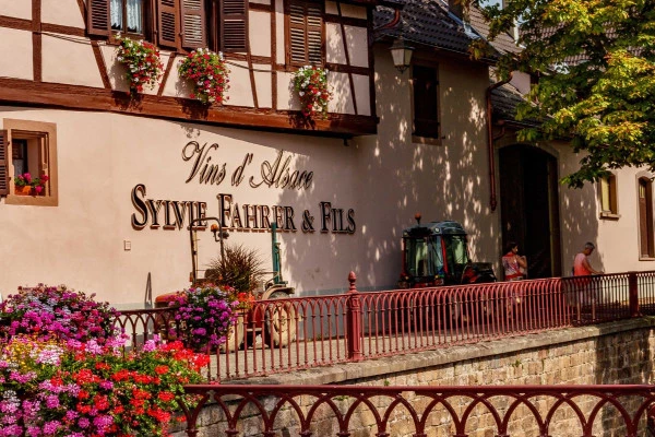 Guided winery tour in Alsace - local wine tasting - Bonjour Fun