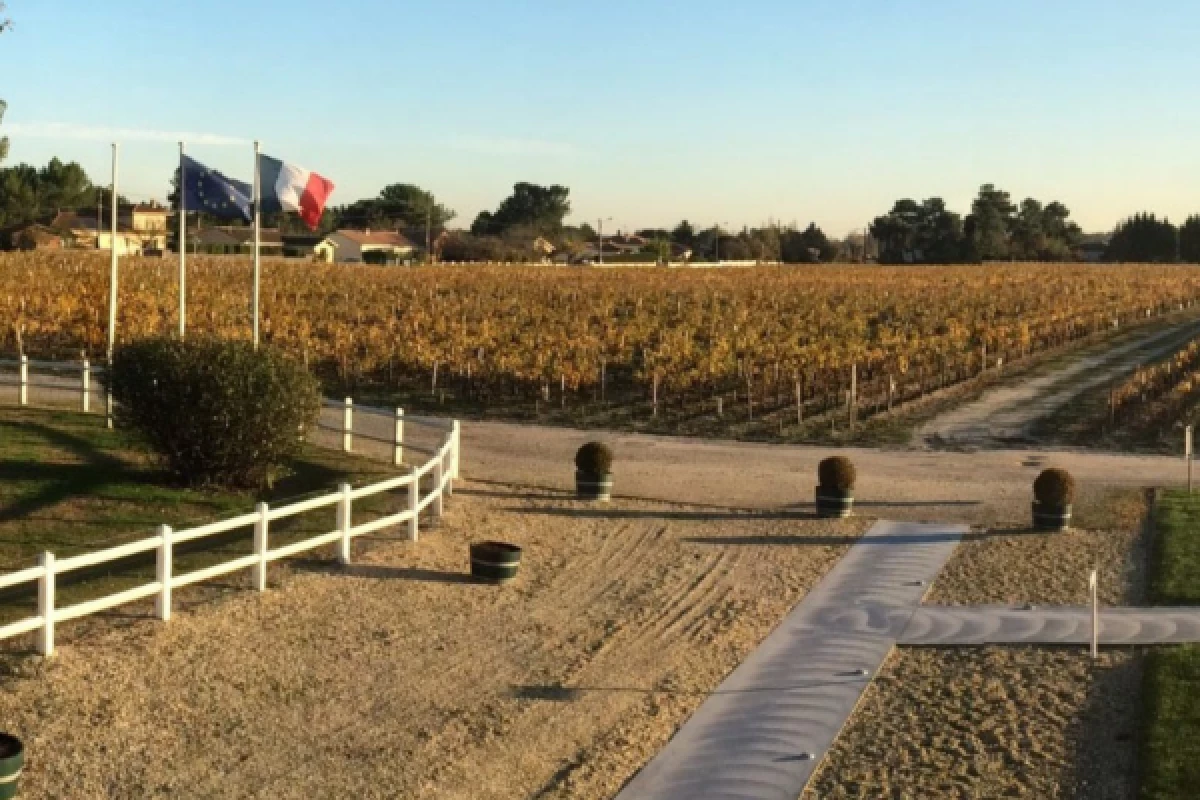 Half-day in the Médoc: 2 wineries & 6 wines - Bonjour Fun