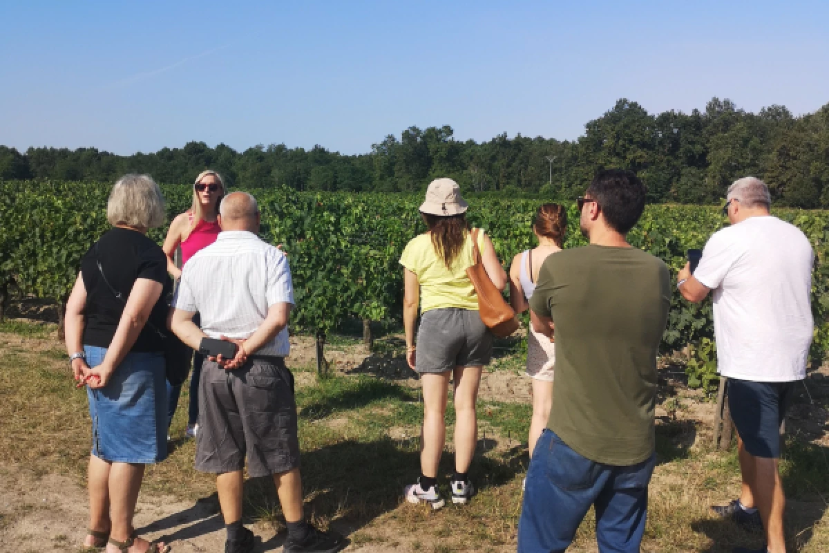 Half-day in the Médoc: 2 wineries & 6 wines - Bonjour Fun