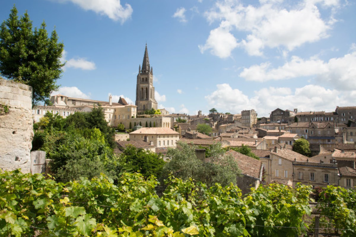 Half day Tour Saint-Emilion : Village, Château & Wine tasting - Bonjour Fun