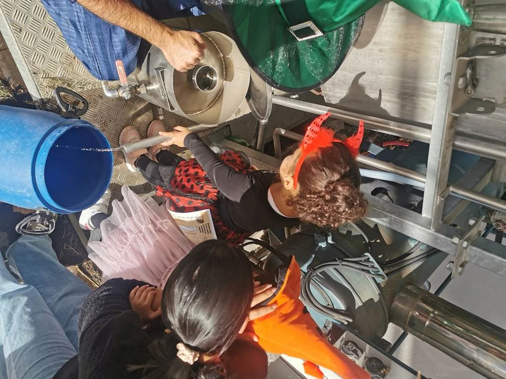 Halloween: Chasse aux trésors et fabrication de la potion magique - Bonjour Fun