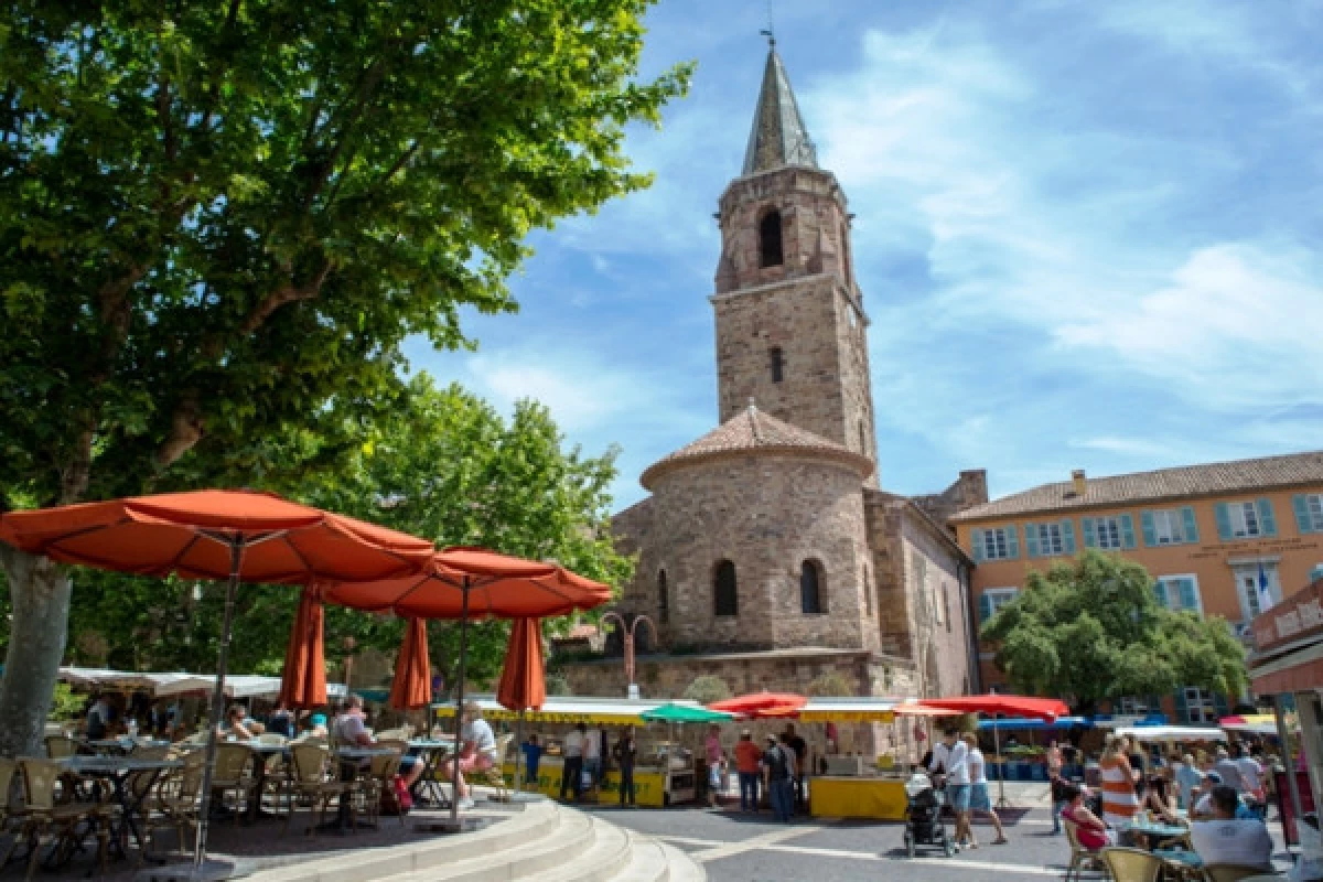 Historical guided tour of Fréjus - Bonjour Fun