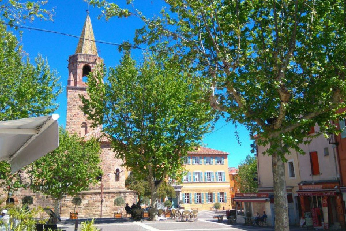 Historical guided tour of Fréjus - Bonjour Fun