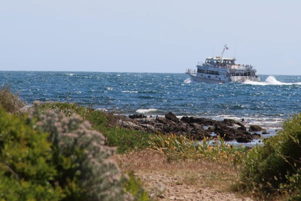 Horizon - Shuttle to Sainte-Marguerite Island - Bonjour Fun