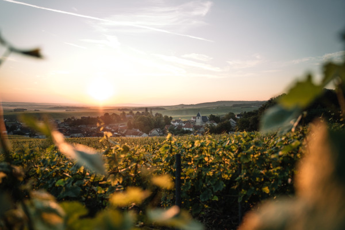 Iconic Tour - Bonjour Fun