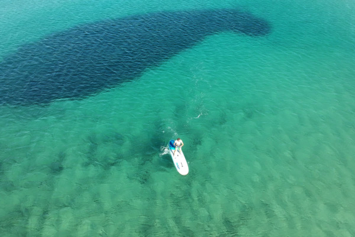 Individual paddle rental - Plage de Pampelonne Saint-Tropez - Bonjour Fun