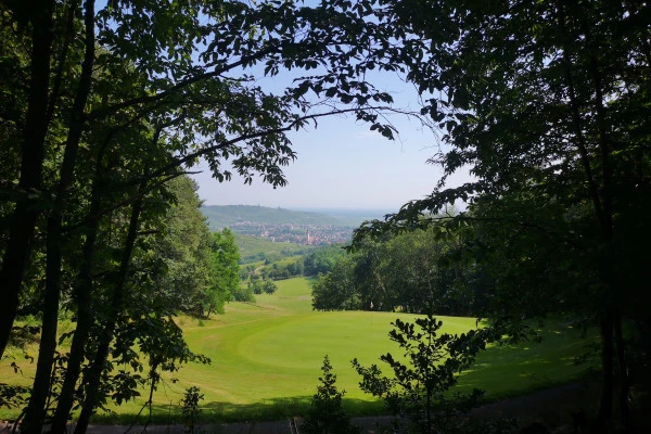 Introduction to golf - Bonjour Fun