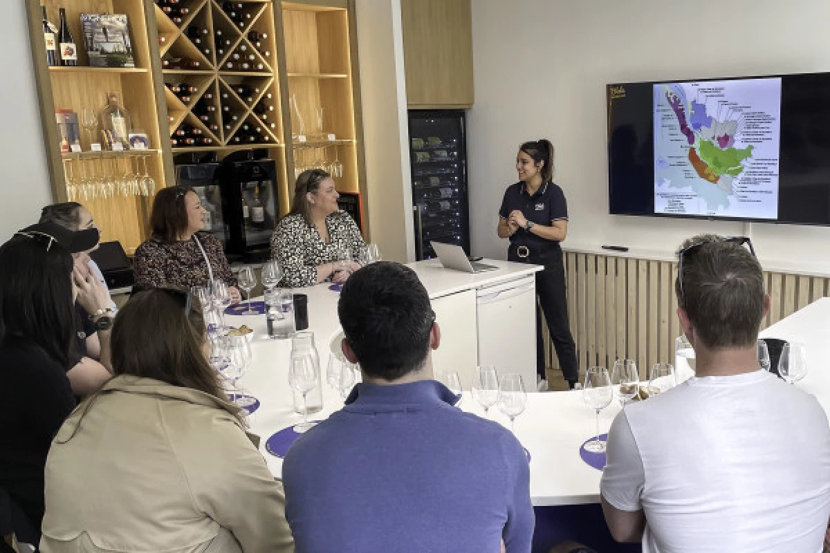 Introduction to Bordeaux wines - Bonjour Fun