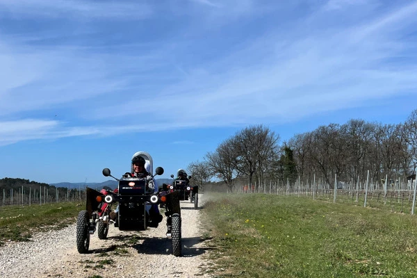 Swincar ride - Saint Cassien Lake - Bonjour Fun