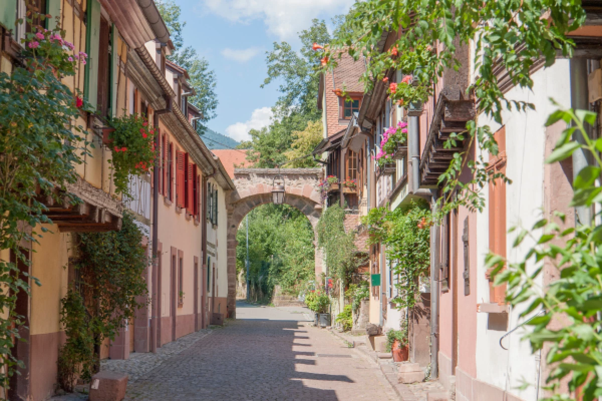 DISCOVERY TREASURE KAYSERSBERG - Bonjour Fun