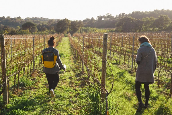 Wine escape game, La Croix Valmer - Bonjour Fun