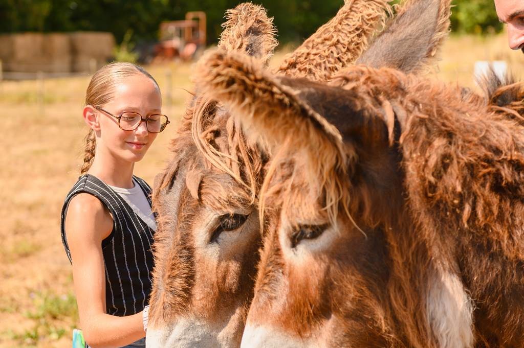 Journée découverte sur les traces du Baudet - Bonjour Fun