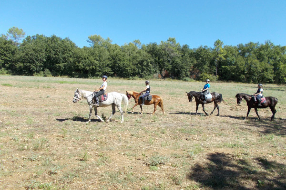 Relaxing outing day on horse or pony - Bonjour Fun