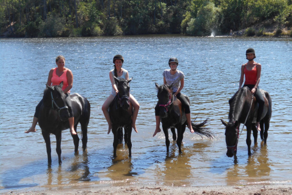 Relaxing outing day on horse or pony - Bonjour Fun