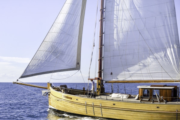 Sailing day to the Calanques - Quay of Honor Town Hall - Bonjour Fun