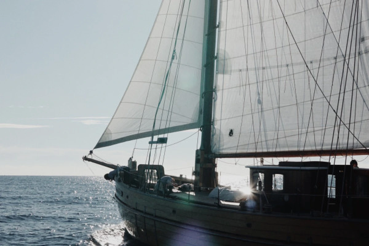 Sailing day to the Calanques - Quay of Honor Town Hall - Bonjour Fun