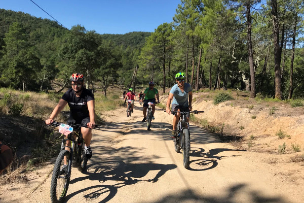 Electrically assisted mountain bike tour - Special groups - Bonjour Fun