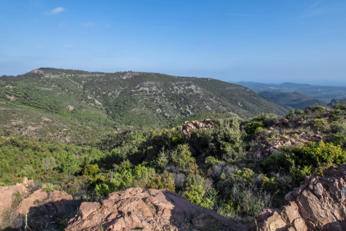 Electrically assisted mountain bike tour - Special groups - Bonjour Fun