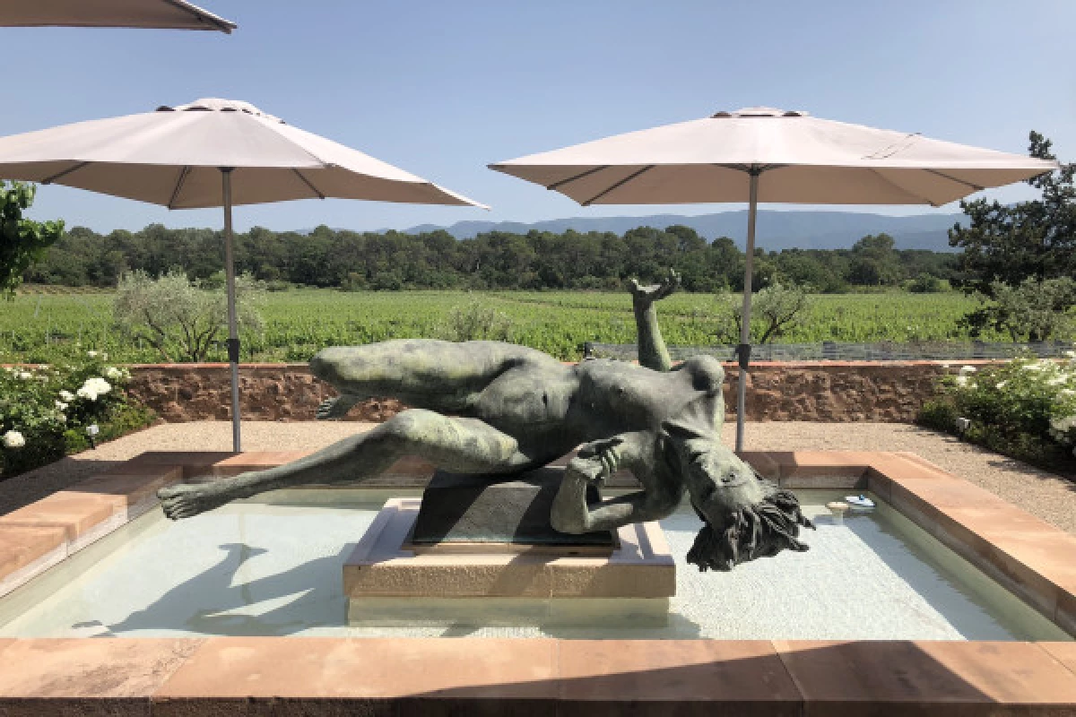 Full day wine tour in Coeur du Var - Bonjour Fun