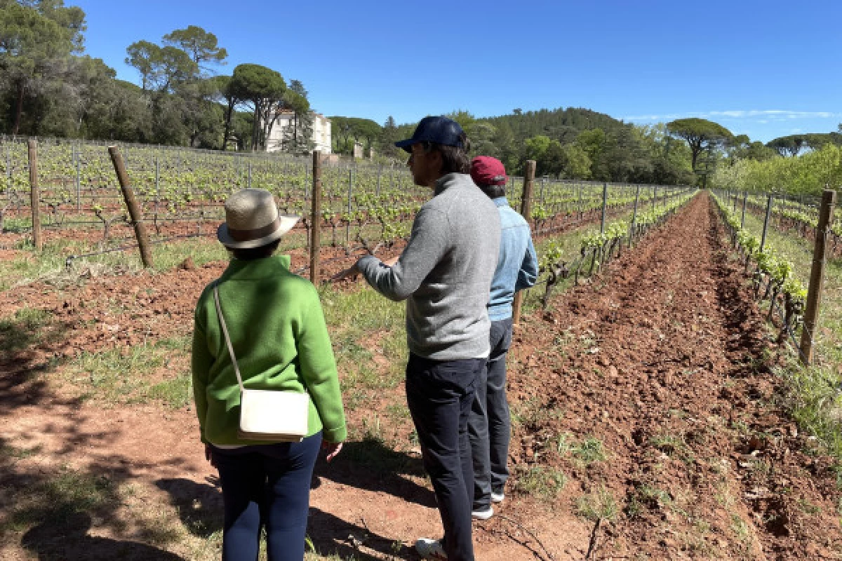 Private tour in Dracénie - Bonjour Fun