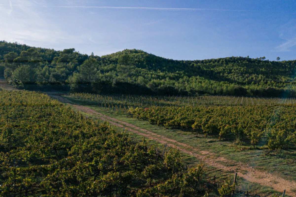 Private tour in Dracénie - Bonjour Fun