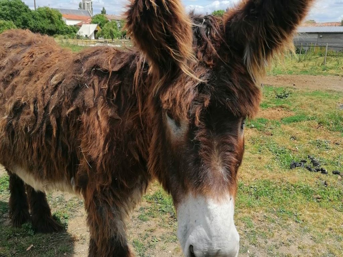 Journée Vélo Barque : journée découverte sur les traces du Baudet - Bonjour Fun
