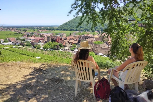 KIENTZHEIM #3 - Workshop - Discover the limestone terroirs of Kaysersberg - Bonjour Fun