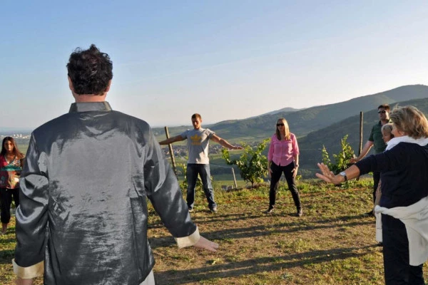 KIENTZHEIM #3 - Workshop Tournée des terroirs - Qi Gong in the Furstentum - Bonjour Fun