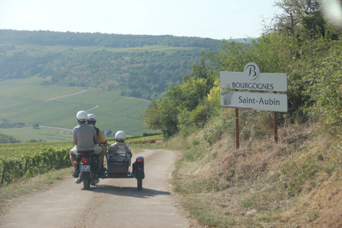 The soul of the Burgundy terroir - Bonjour Fun