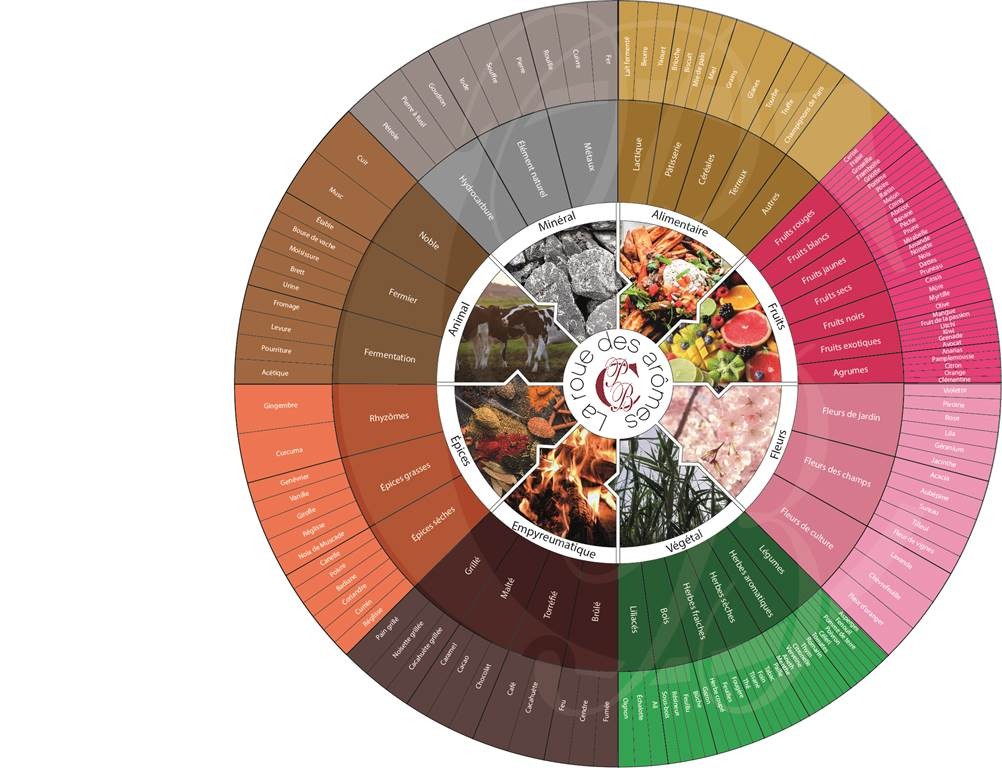 L' Atelier des sens : découverte sensorielle - Bonjour Fun