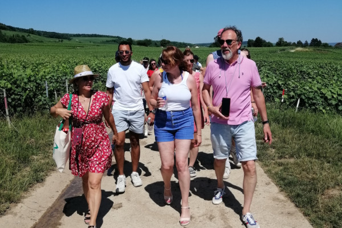 The Lovely Escape - Walking Stroll & Tasting - Bonjour Fun