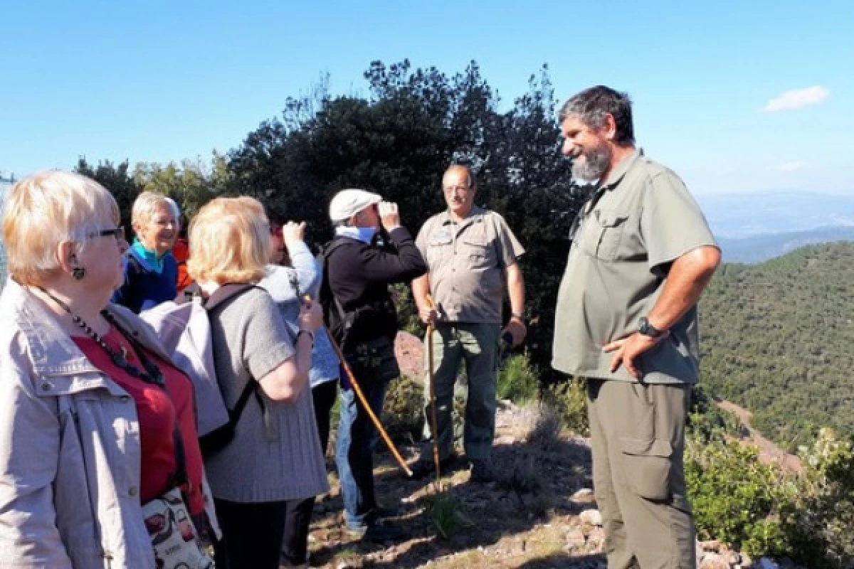 Esterel land & sea Day trip with meal - Bonjour Fun