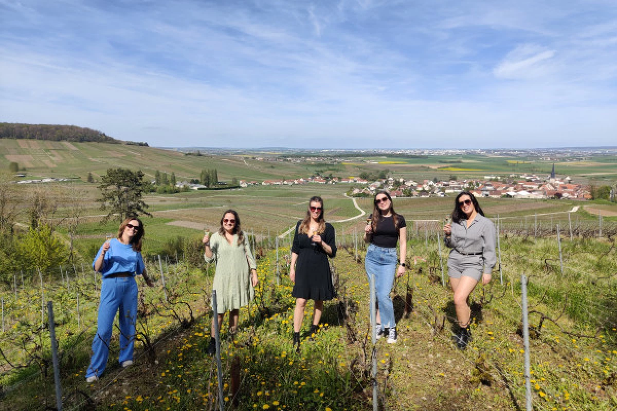 The Must-Have Tradition, tasting in the vineyard - Bonjour Fun