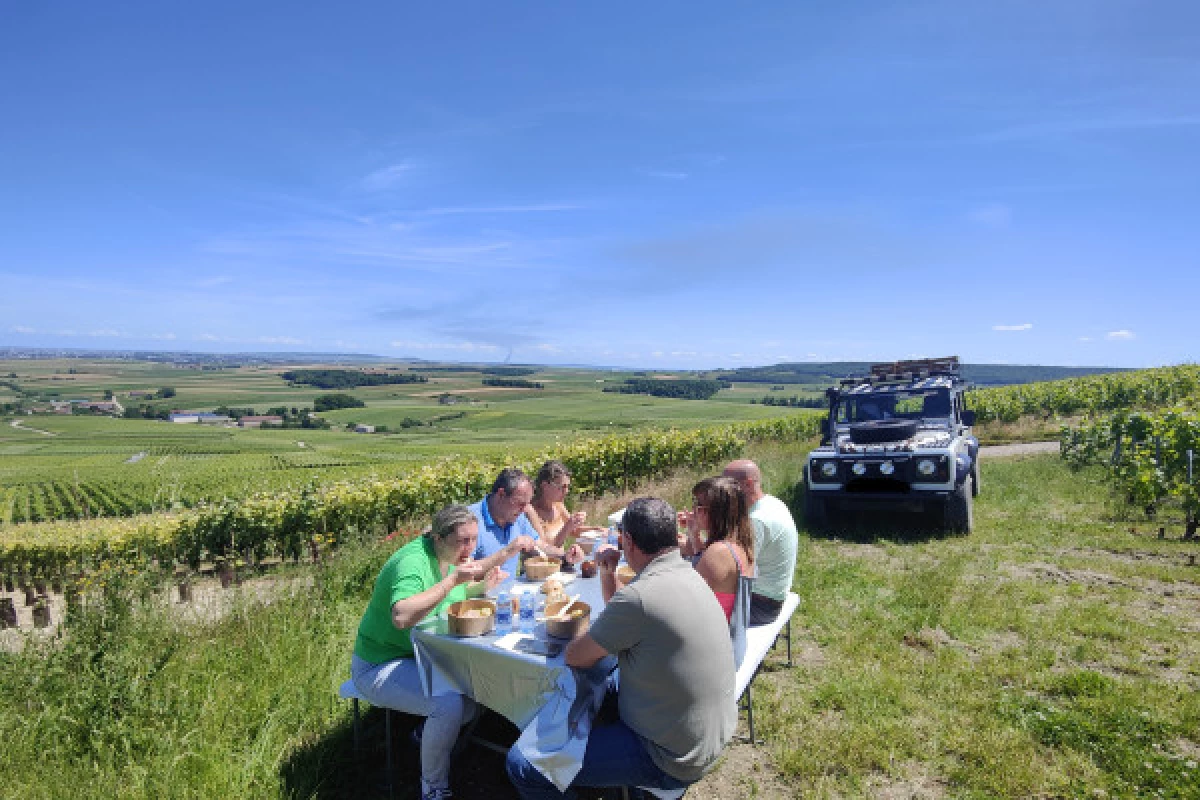 The must-see: Picnic and Champagne tasting - Bonjour Fun