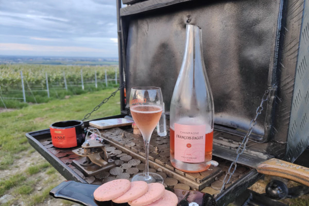 The must-see: Picnic and Champagne tasting - Bonjour Fun