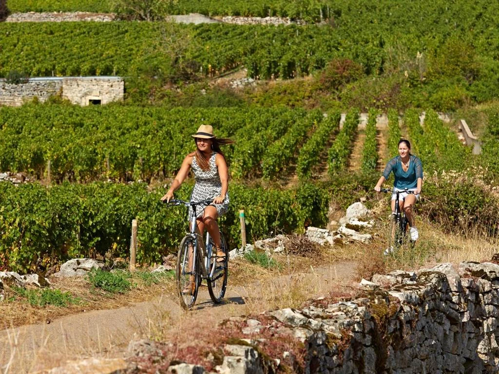 La Bourgogne à Vélo - Bonjour Fun