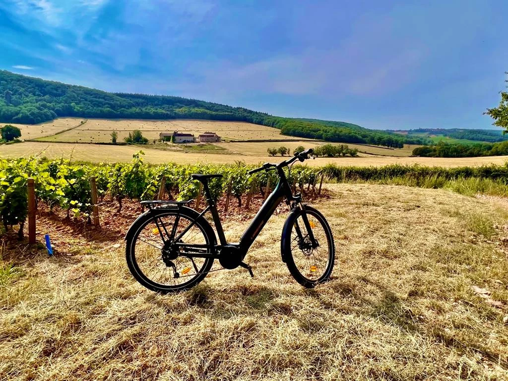 La Bourgogne à Vélo - Bonjour Fun