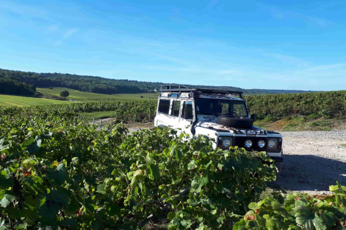 La Champenoise  Wine tourism 1/2 day - Bonjour Fun