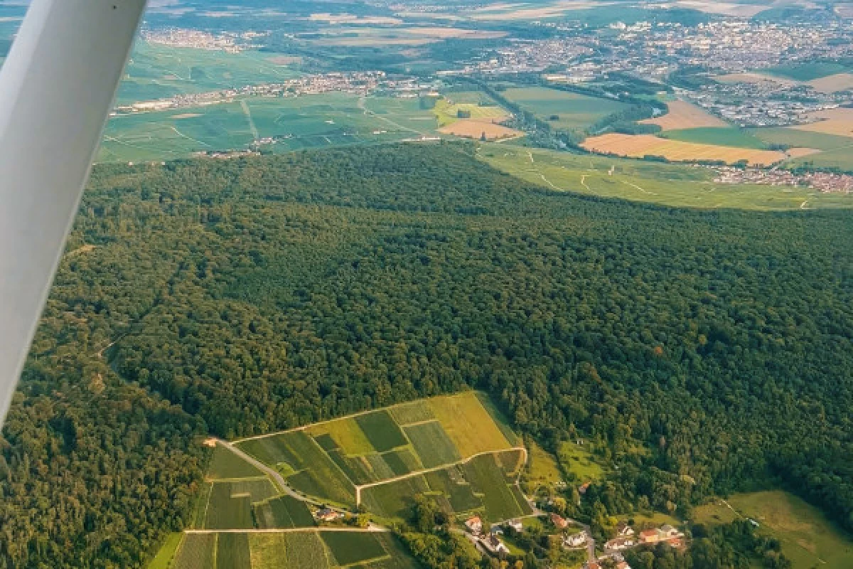 1/2 day Earth and Sky BUSINESS FAIR in Champagne - Bonjour Fun