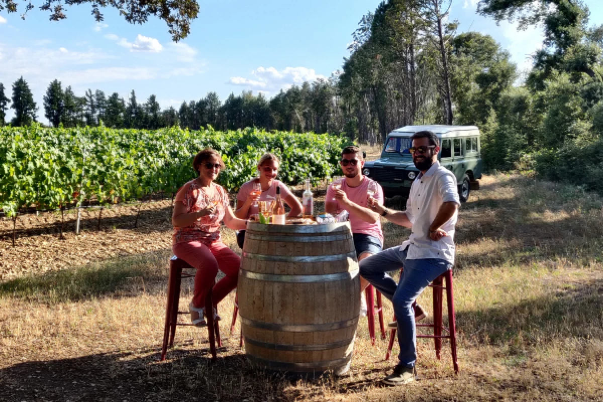 Land Rover Wine Safari - Bonjour Fun